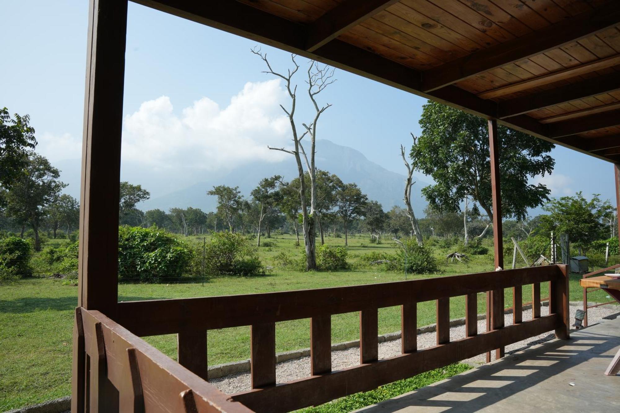 Labdhi Resorts Masinagudi- Stag Groups Not Allowed Екстериор снимка